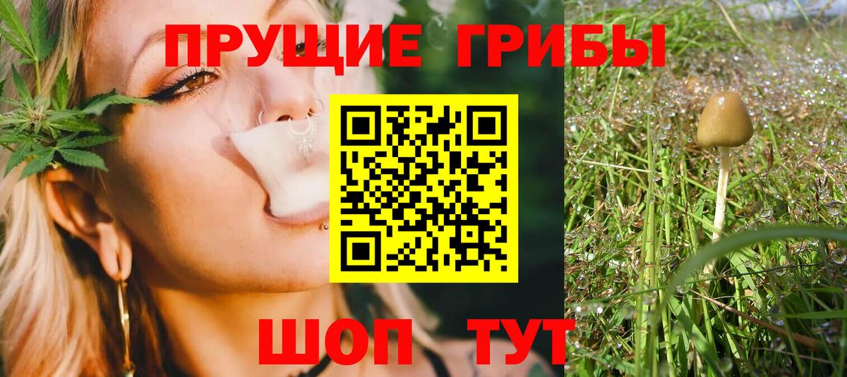 Псилоцибиновые грибы MAGIC MUSHROOMS  наркота  Карасук  Вход с VPN 